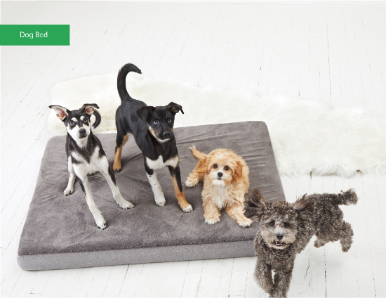 Picture of Dog Bed