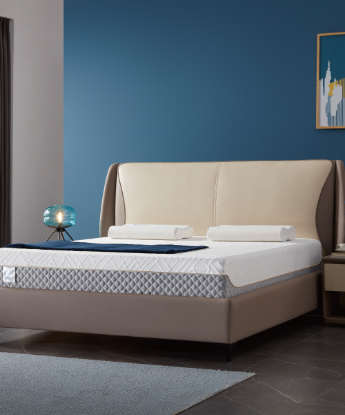 Picture of Foam Mattress 12" Depth
