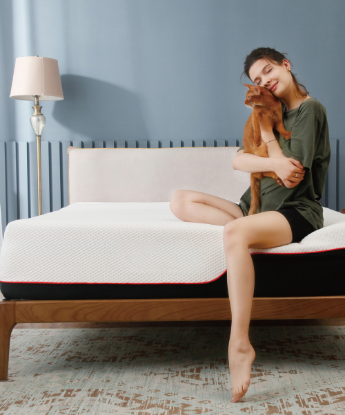 Picture of Foam Mattress 12" Depth